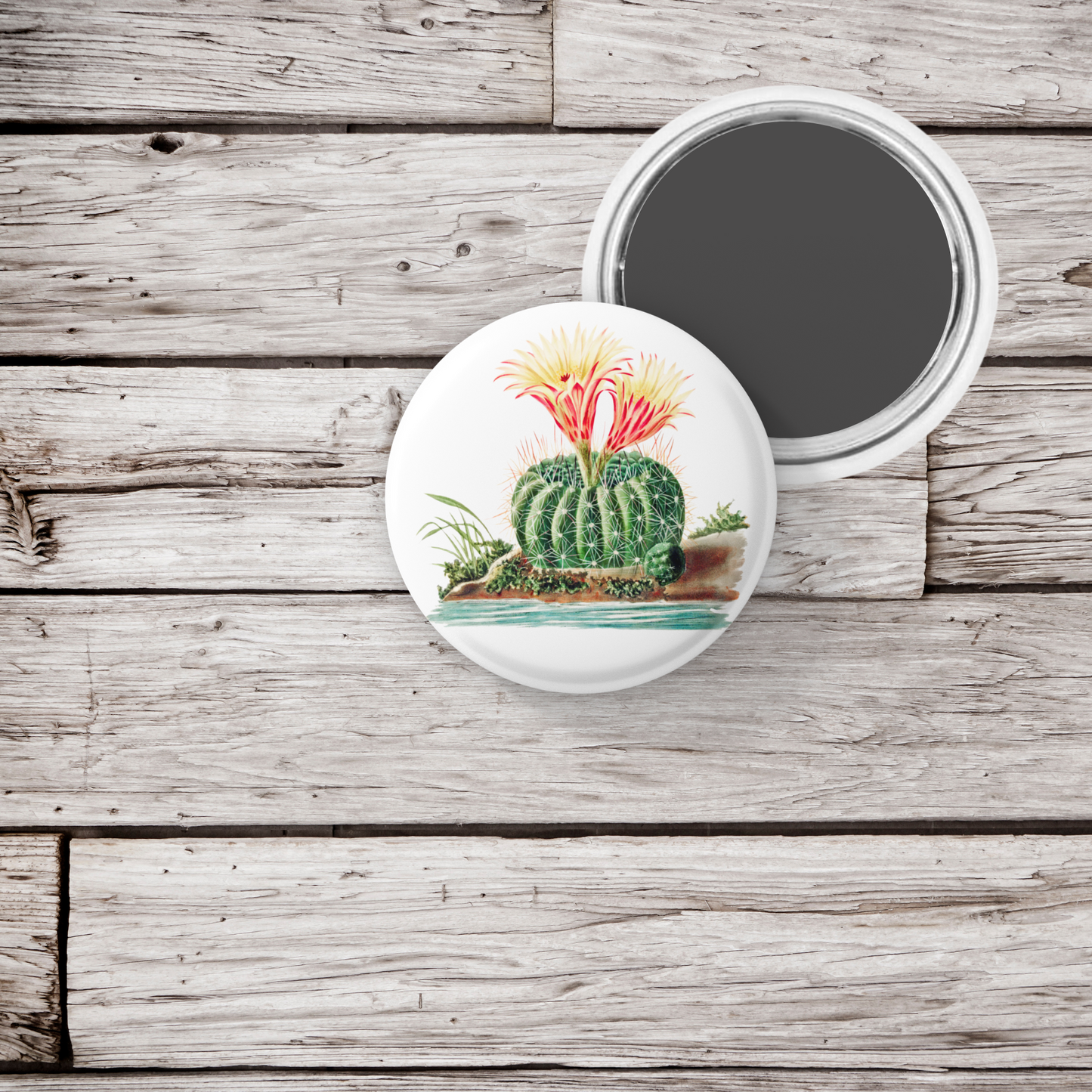Cactus Pin Back Button, Magnet, Keychain