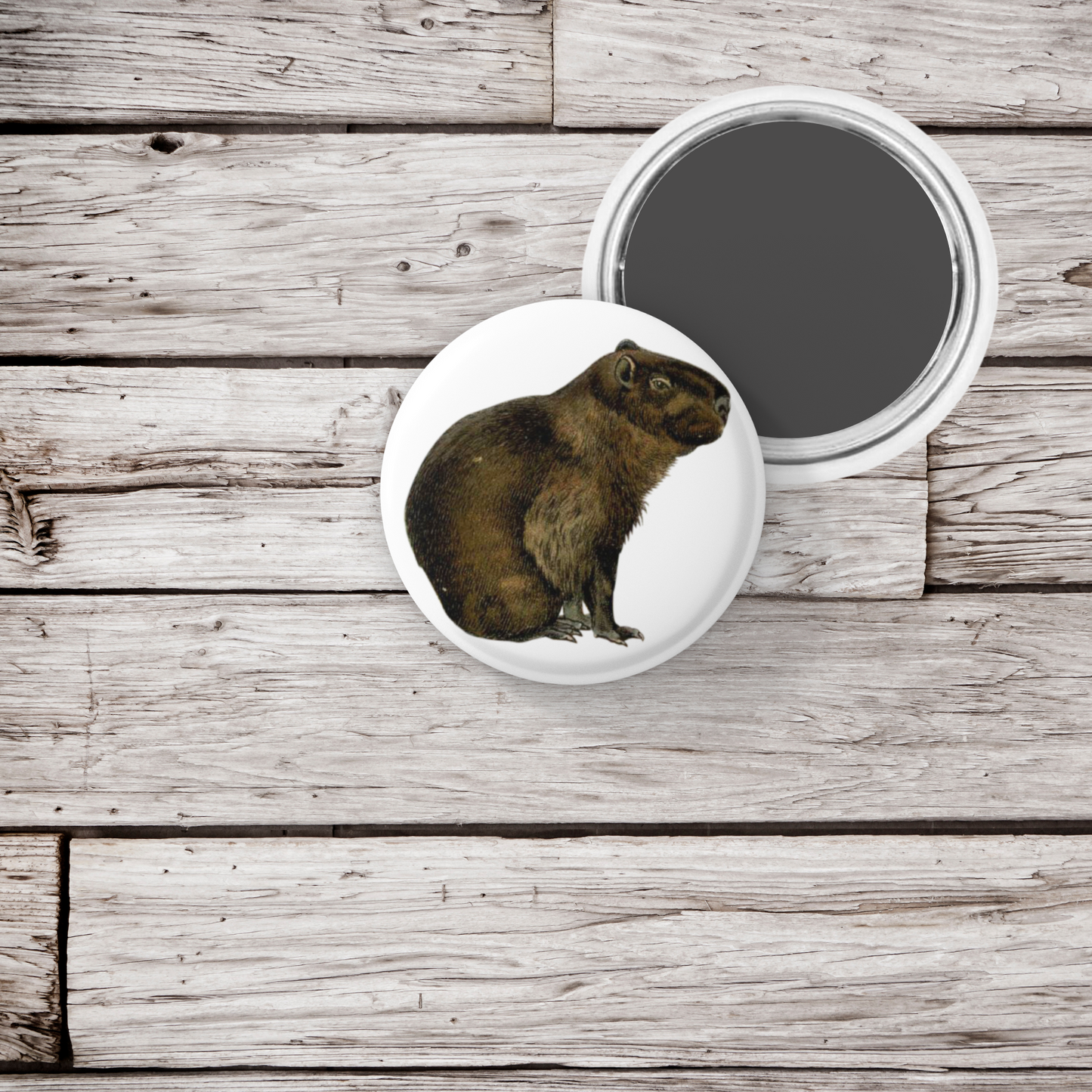Capybara Pin Back Button, Magnet, Keychain