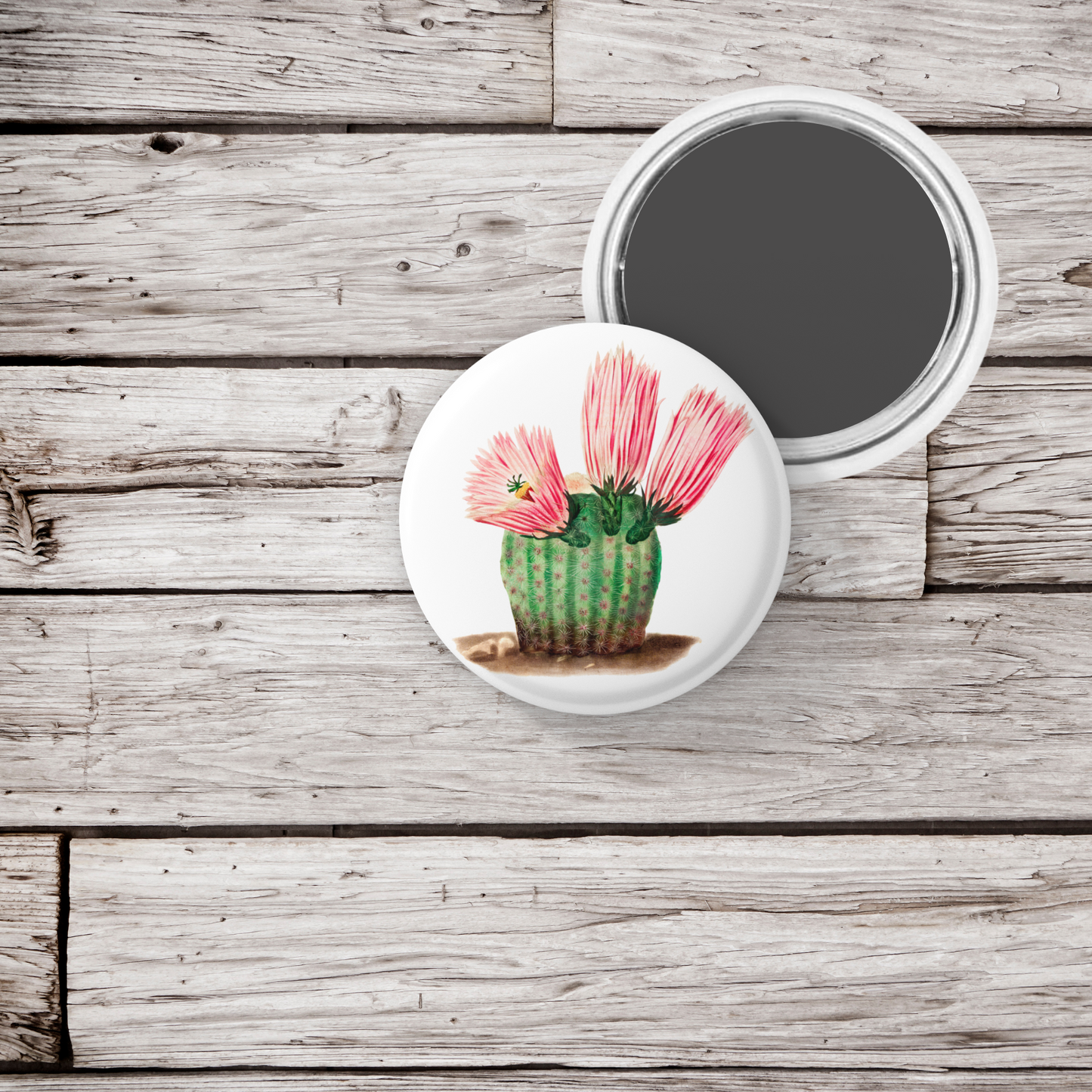 Cactus Pin Back Button, Magnet, Keychain