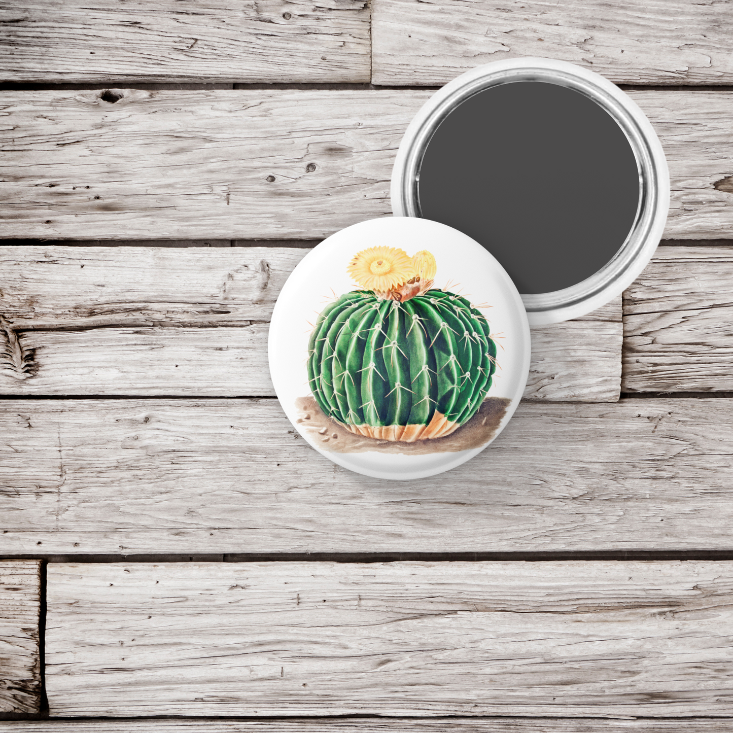 Cactus Pin Back Button, Magnet, Keychain