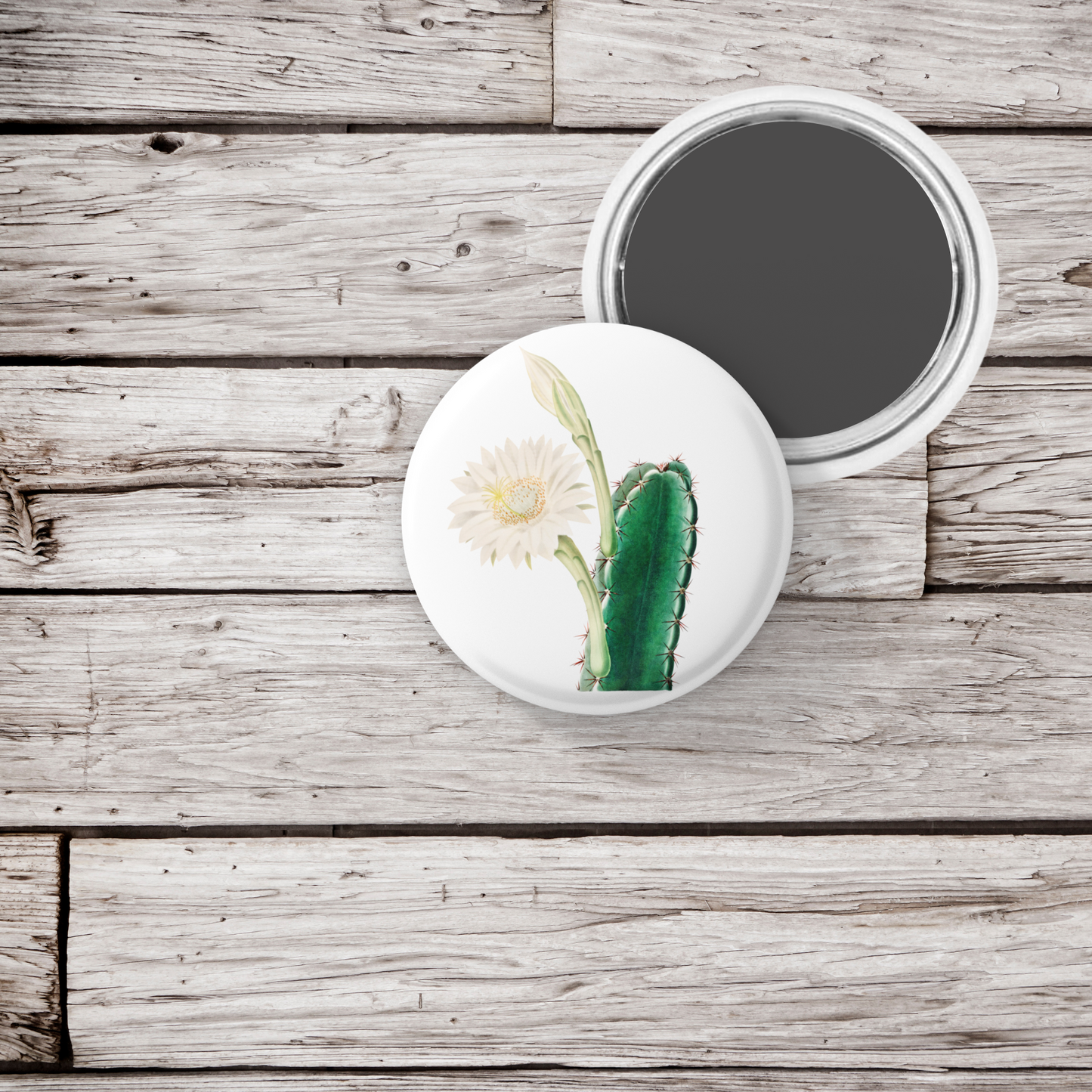 Cactus Pin Back Button, Magnet, Keychain