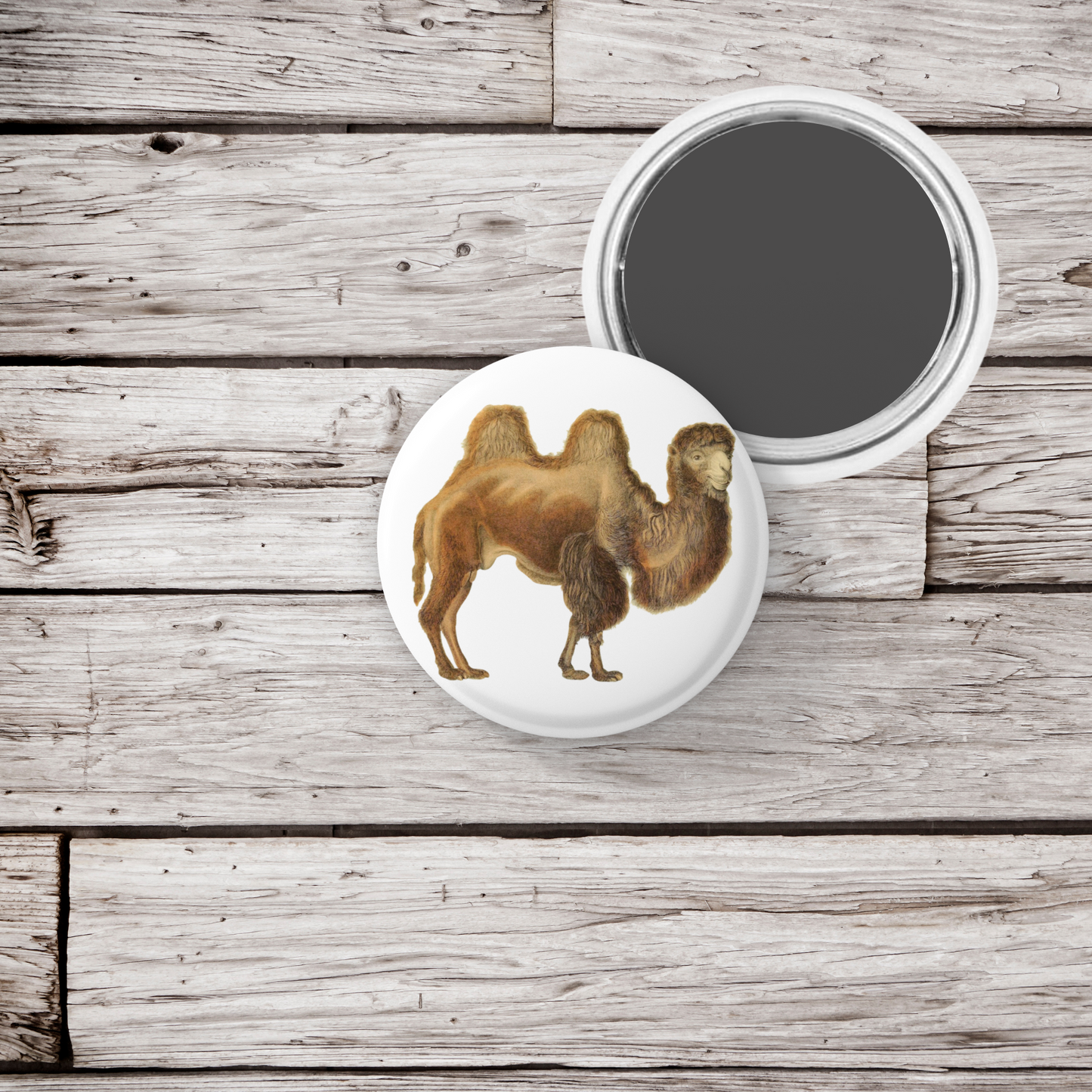 Camel Pin Back Button, Magnet, Keychain