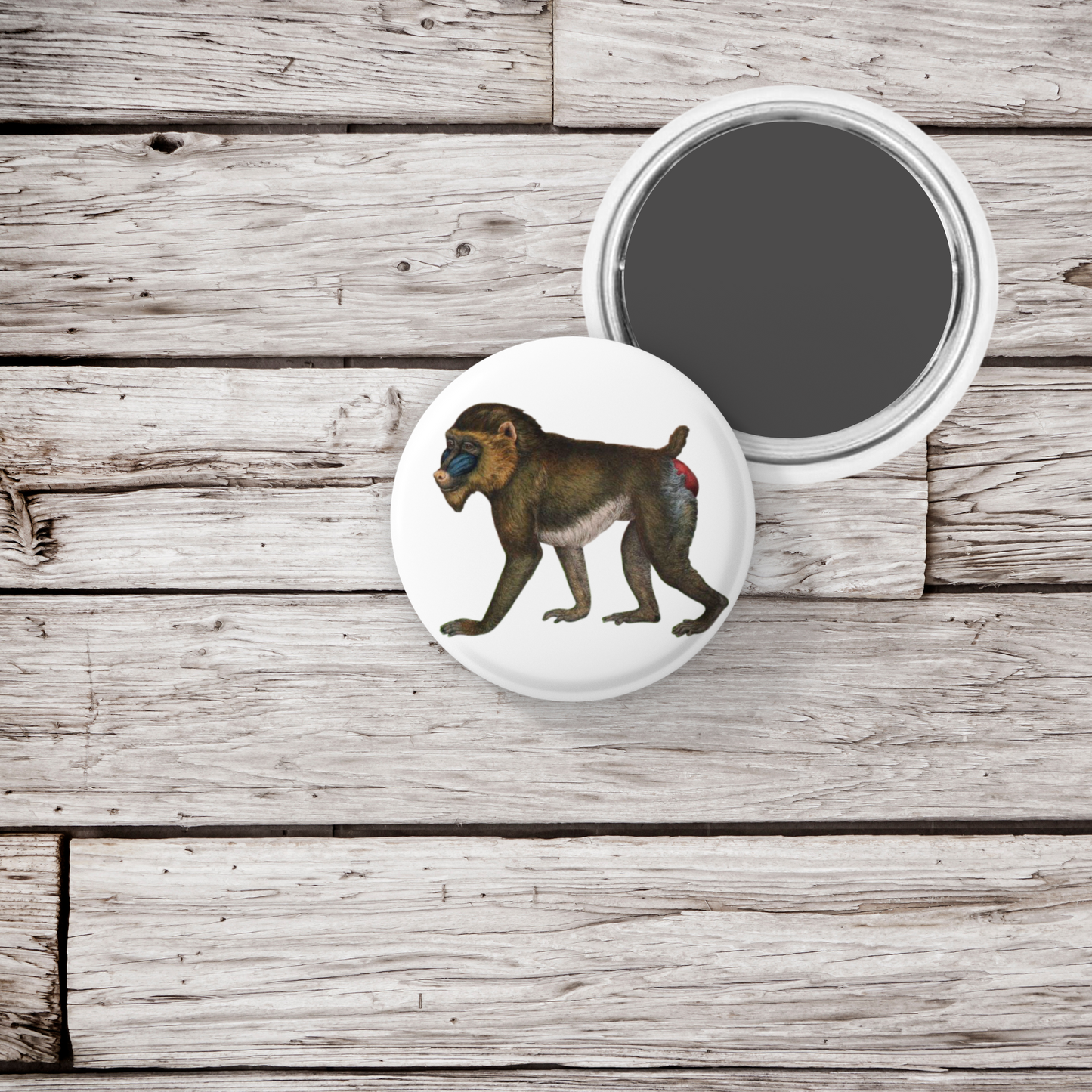 Baboon Pin Back Button, Magnet, Keychain