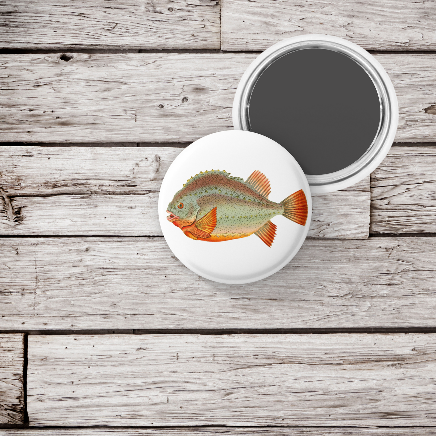 Lumpfish, Cyclopterus Lumpus Sticker Pin Back Button, Magnet, Keychain