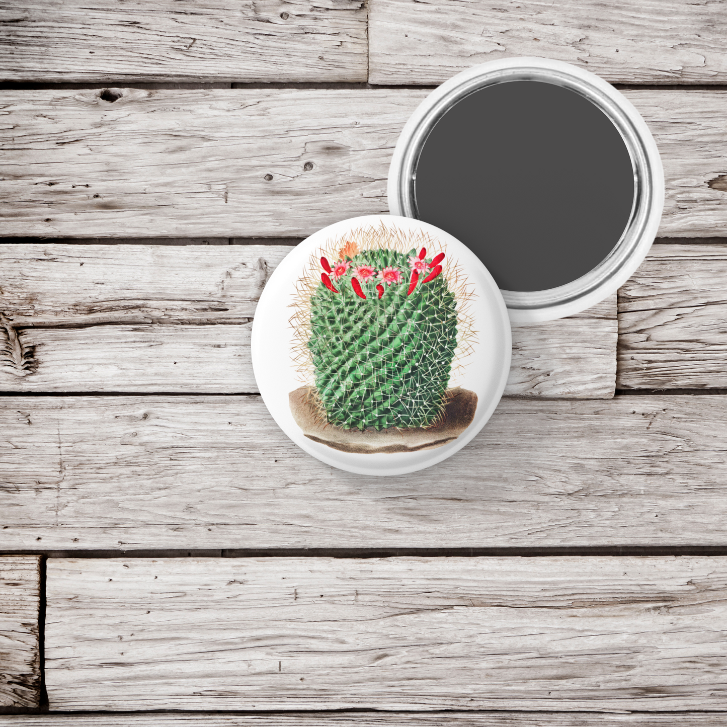 Cactus Pin Back Button, Magnet, Keychain