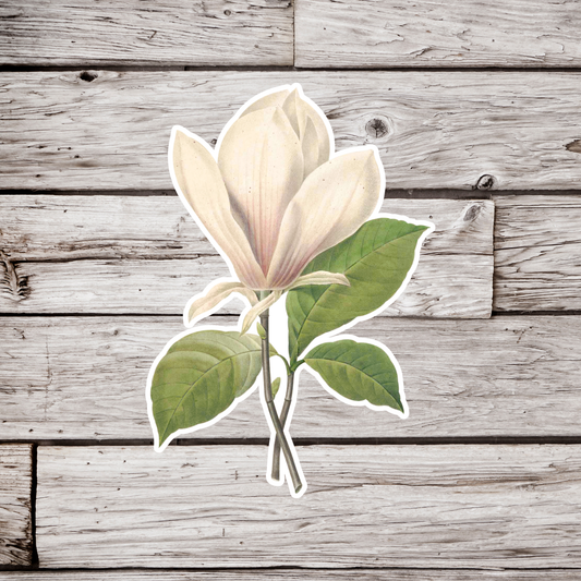 Magnolia Sticker