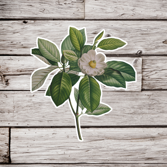 Magnolia Sticker