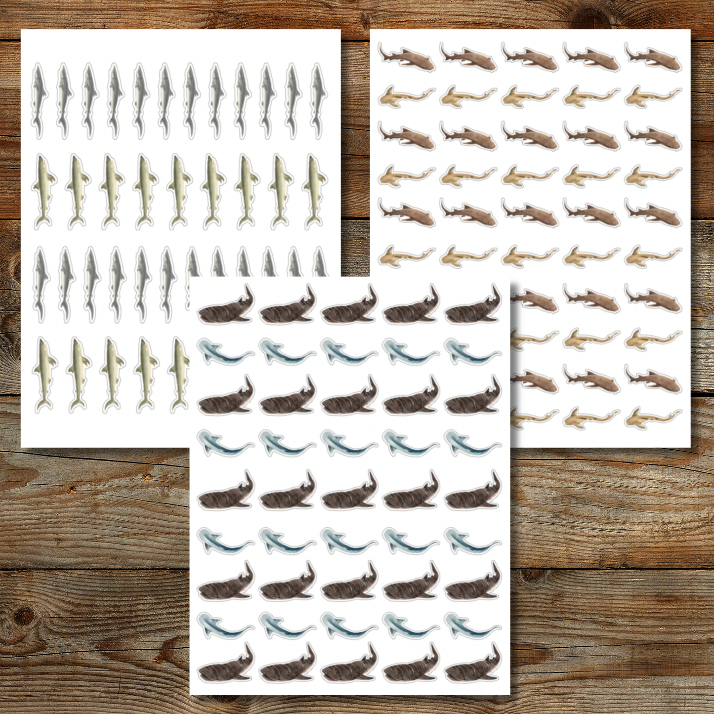 Shark Sticker Sheet