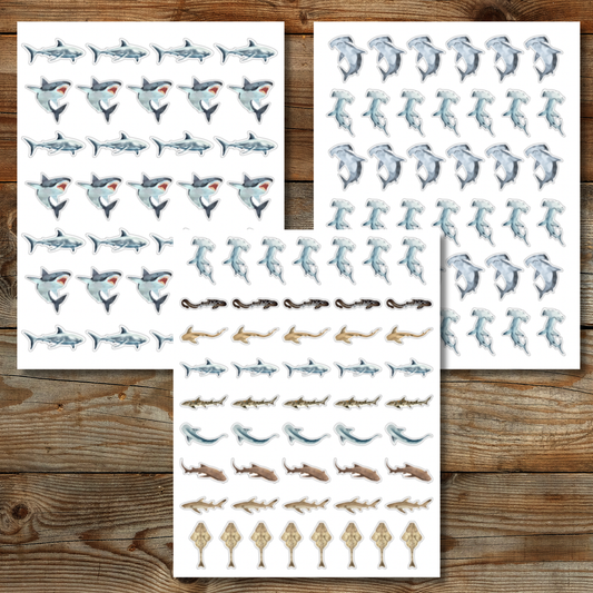 Shark Sticker Sheet