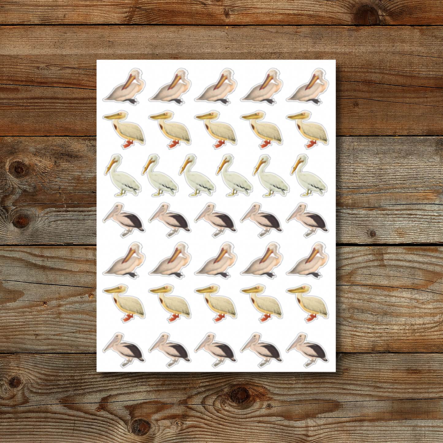 Pelican Sticker Sheet