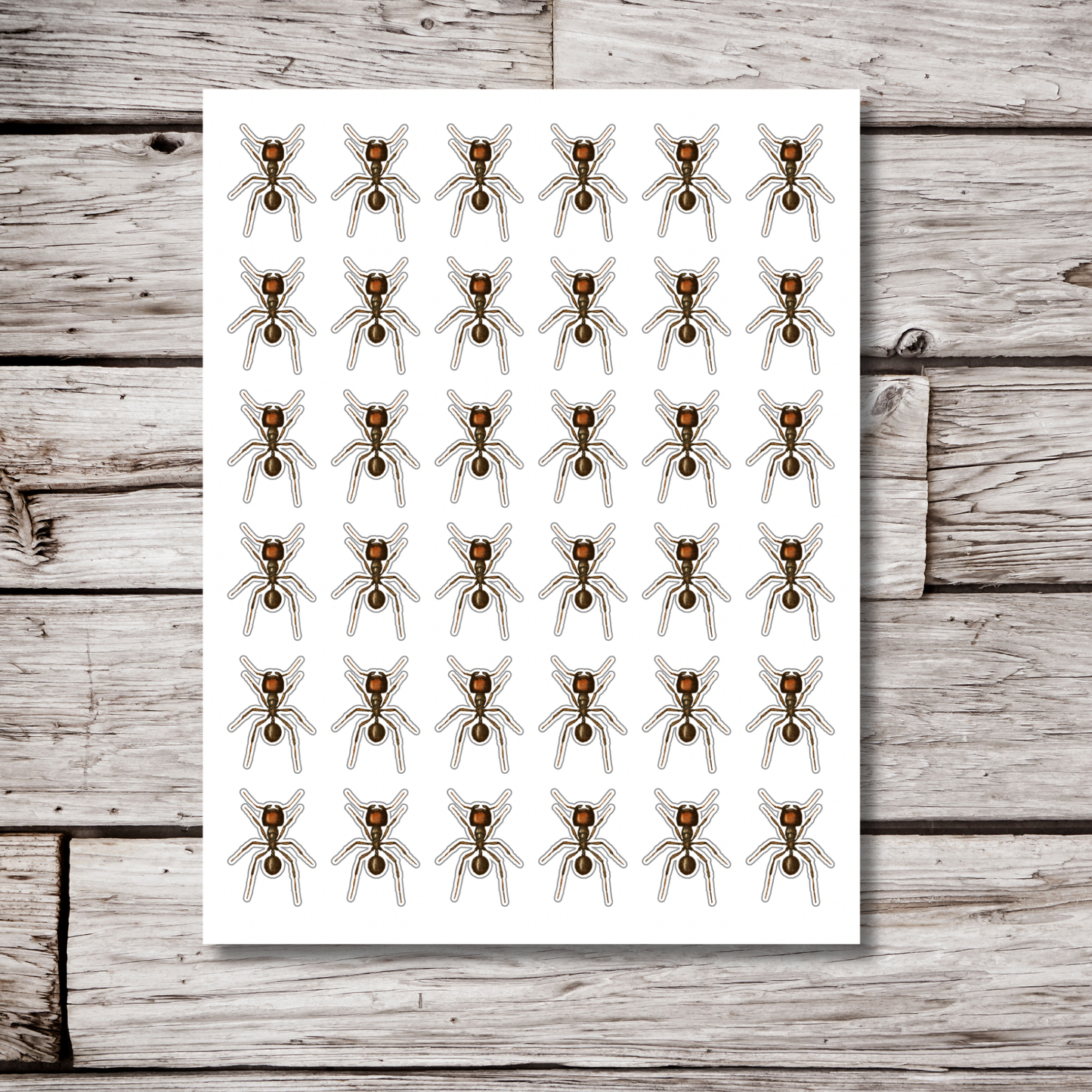 Ant Sticker Sheet
