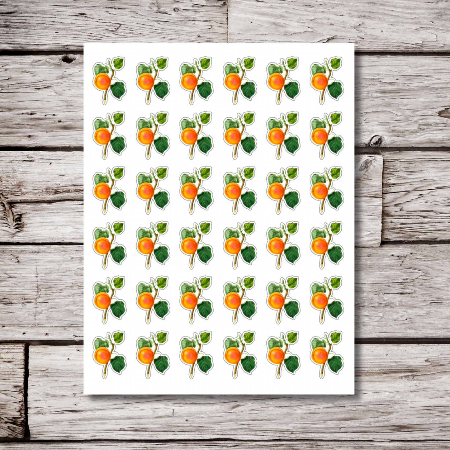 Apricot Sticker Sheet