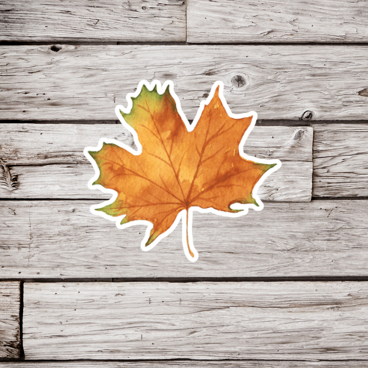 Maple Leaf Sticker
