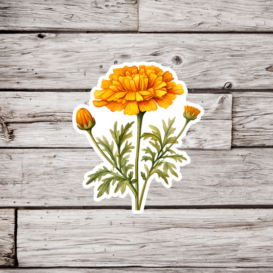 Marigold Flower Sticker