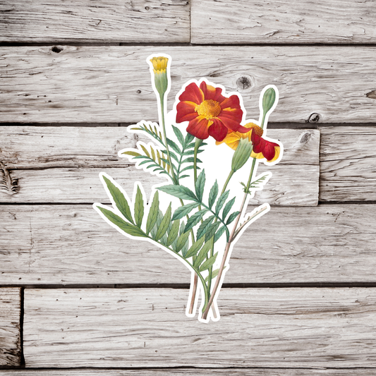 Marigold Flower Sticker
