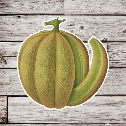 Melon Sticker