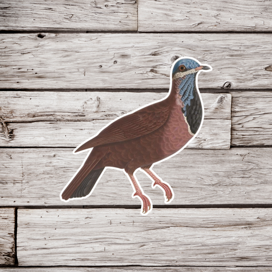 Metallic Pigeon Sticker