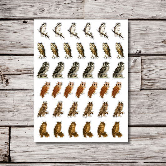 Owl Sticker Sheet