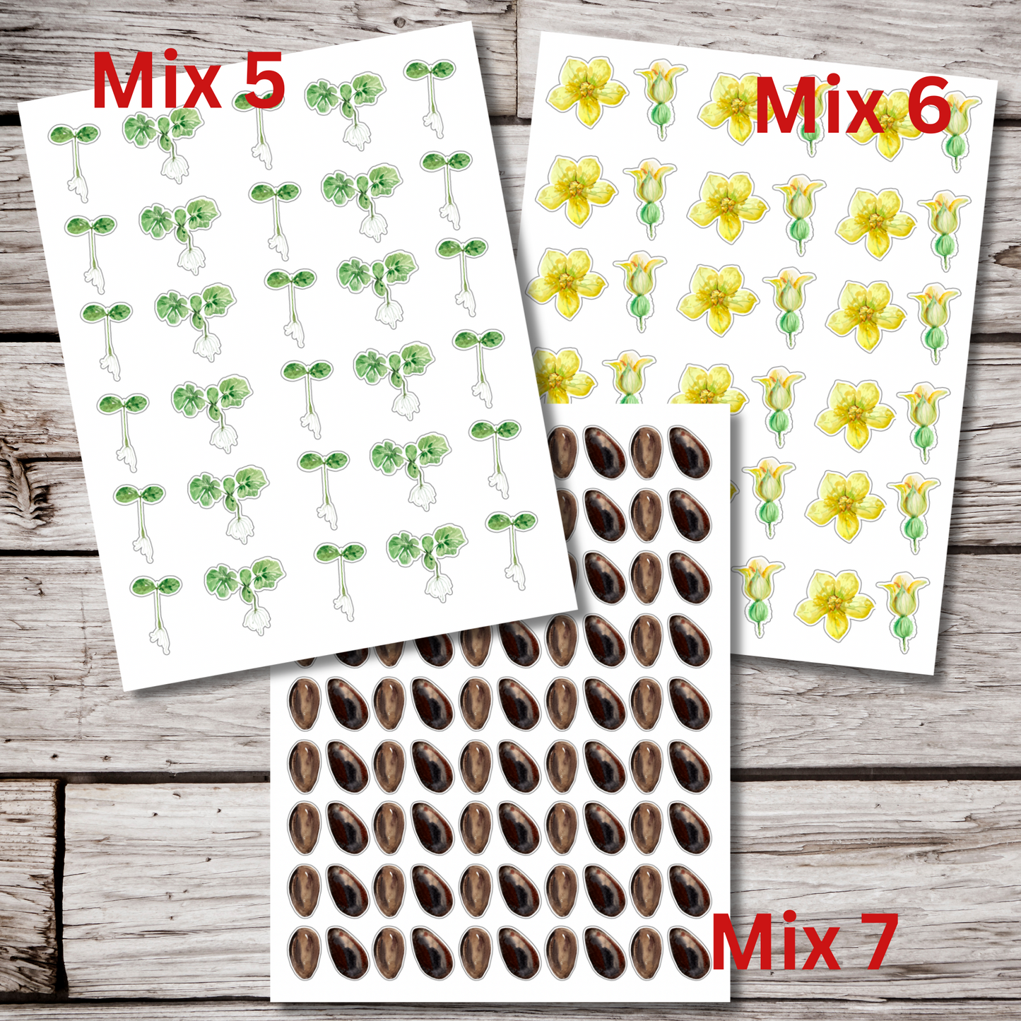 Watermelon Sticker Sheet