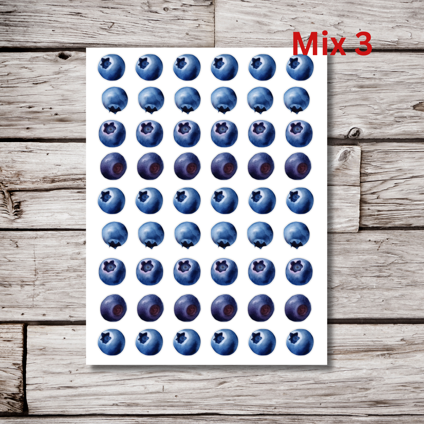 Blueberry Sticker Sheet