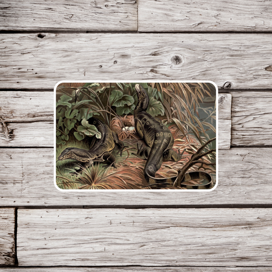 Monitor Lizard Sticker