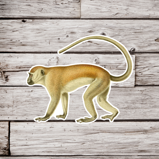 Monkey Sticker