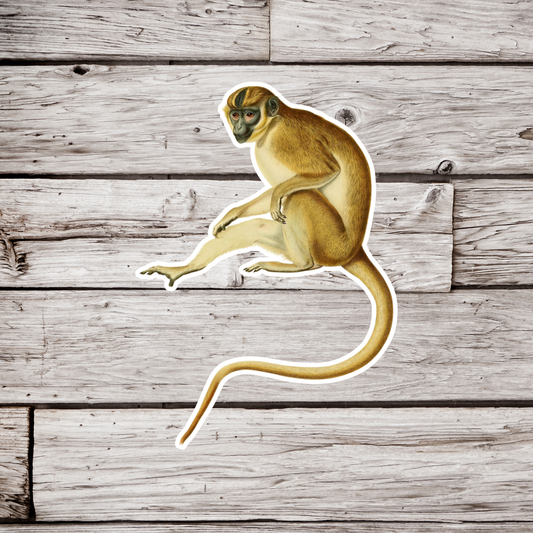 Monkey Sticker
