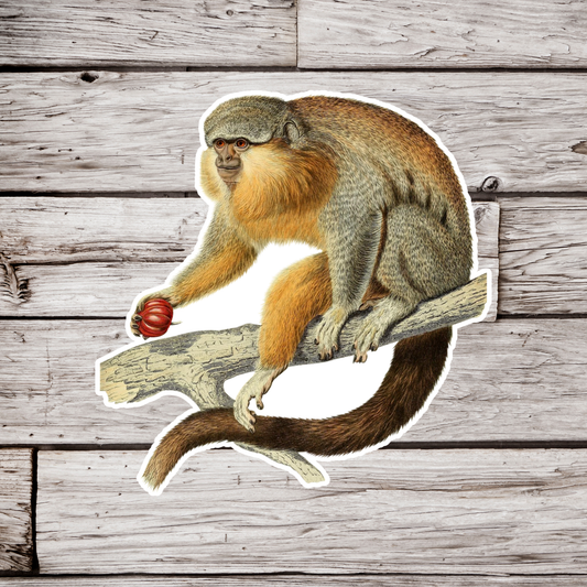Monkey Sticker