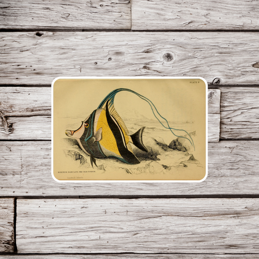 Moorish Idol Fish Sticker
