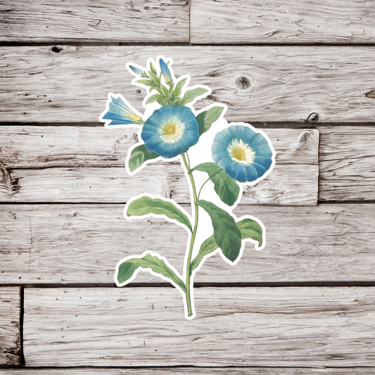 Morning Glory Flowers Sticker