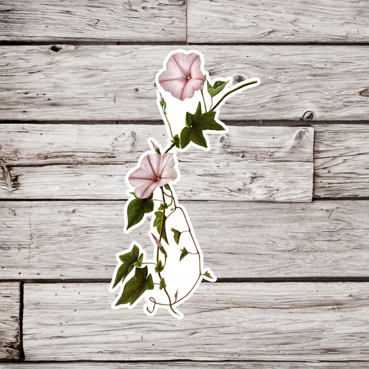 Morning Glory Flowers Sticker