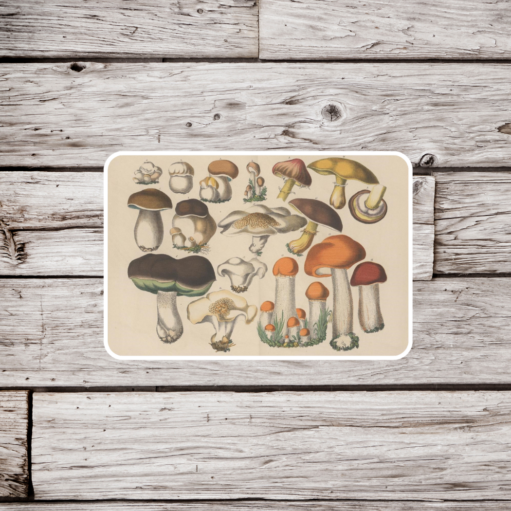 Mushroom Sticker