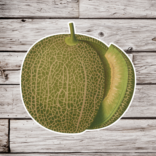 Muskmelon Sticker