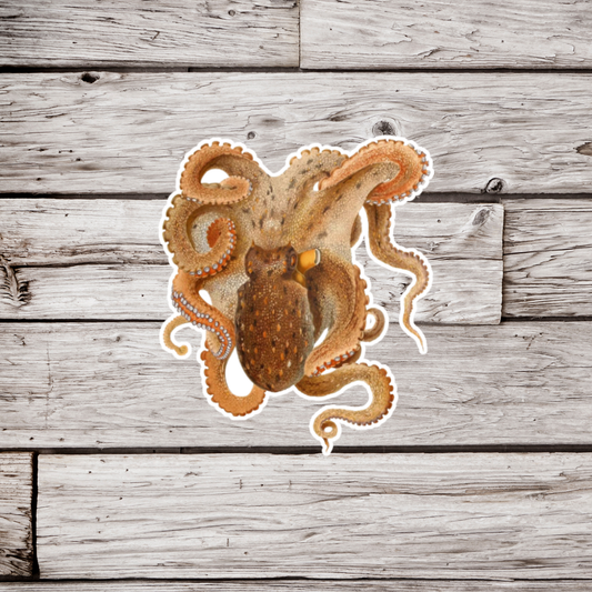 Octopus Sticker