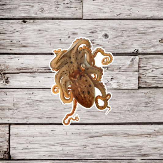 Octopus Sticker