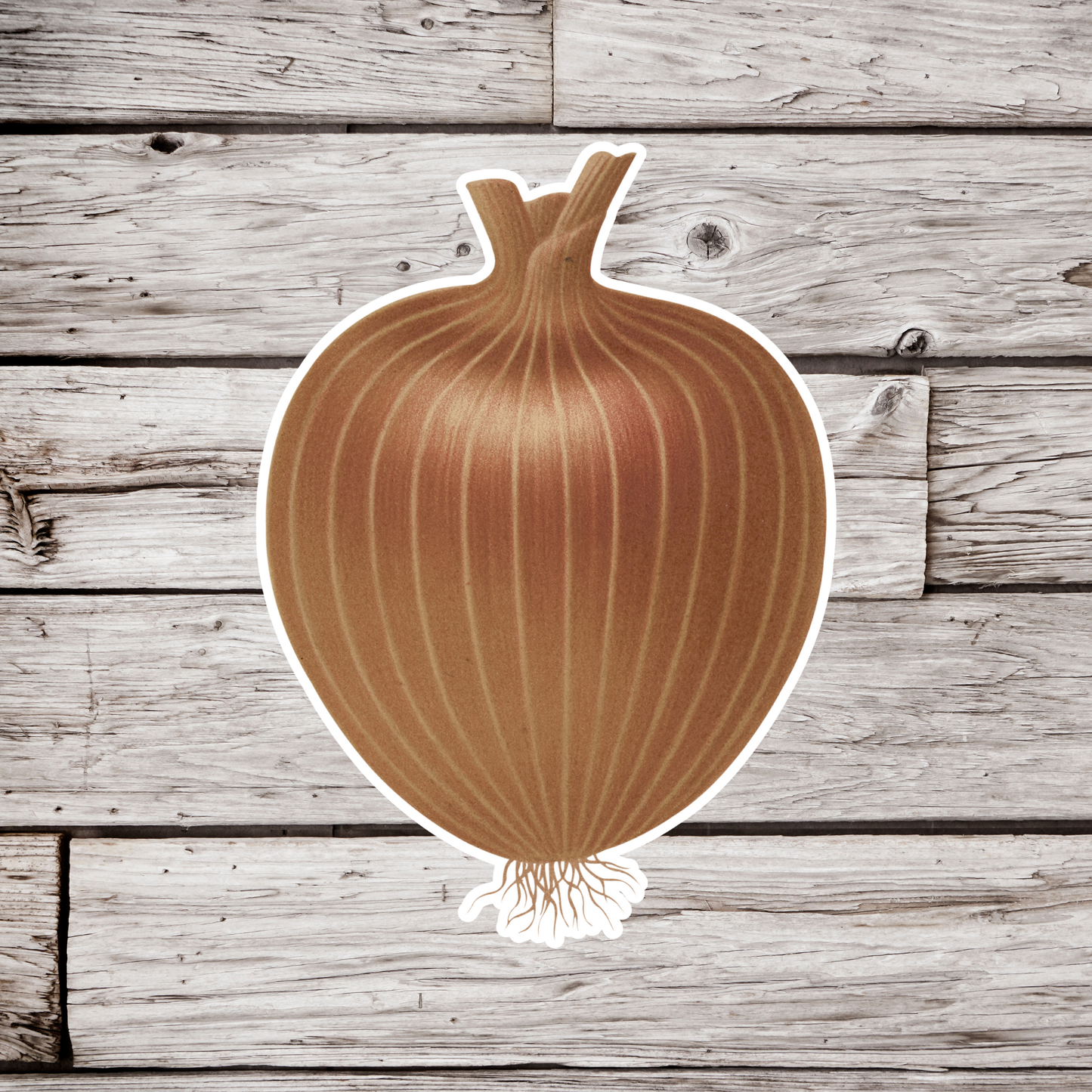 Onion Sticker