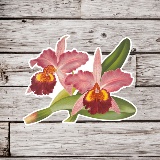 Orchid Sticker