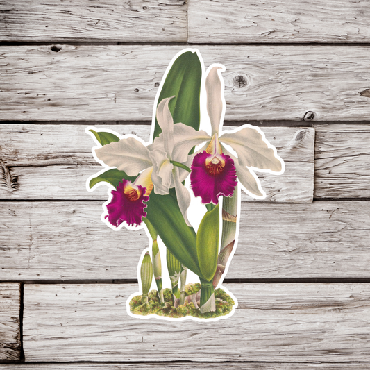 Orchid Sticker