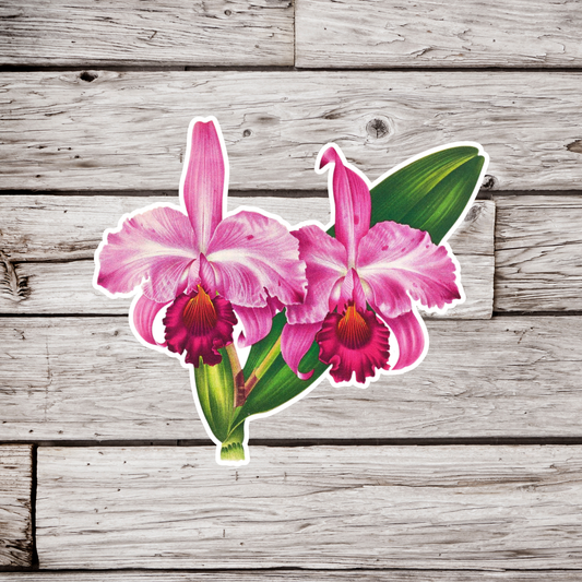 Orchid Sticker