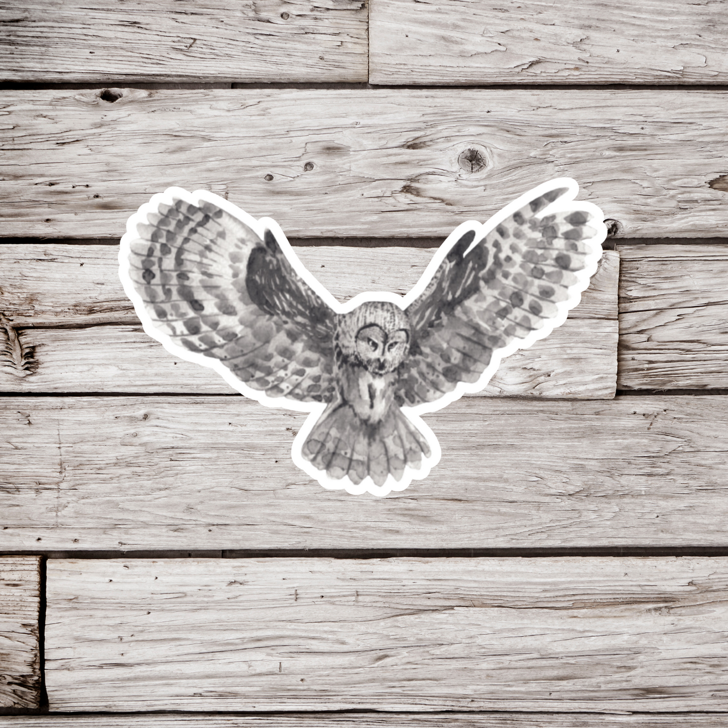 Grey Owl Sticker