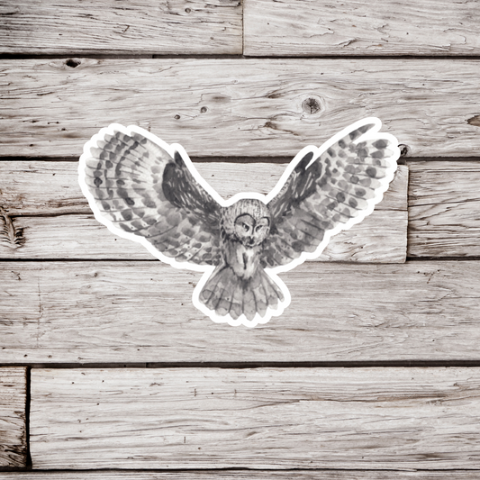 Grey Owl Sticker