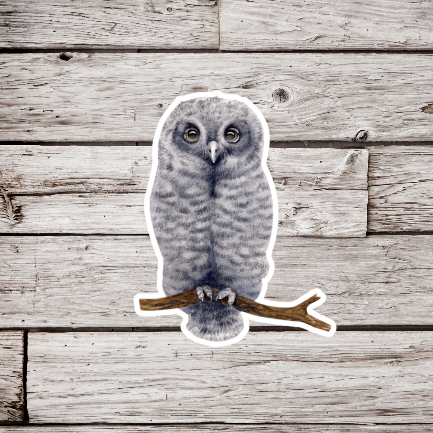 Owl Sticker