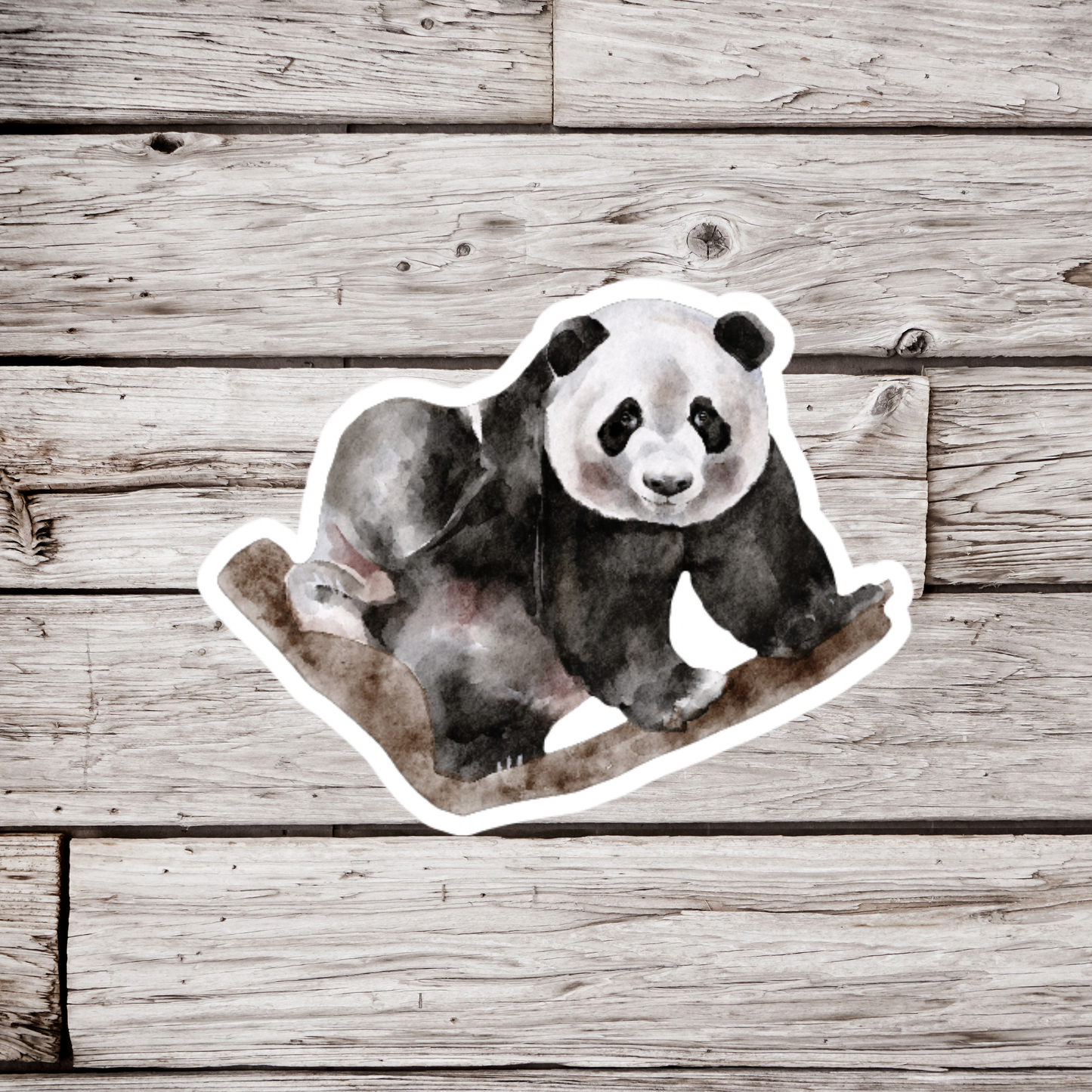 Panda Bear Sticker