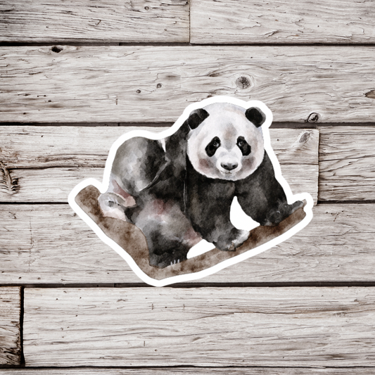 Panda Bear Sticker