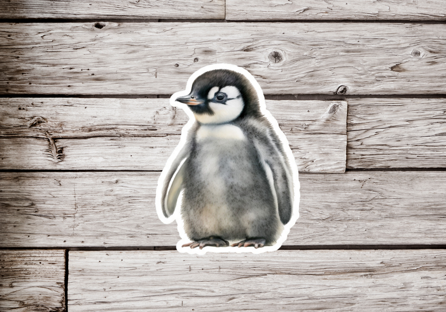 Penguin Chick Sticker