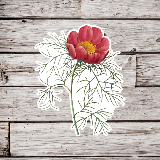 Peony Sticker
