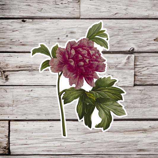 Peony Sticker