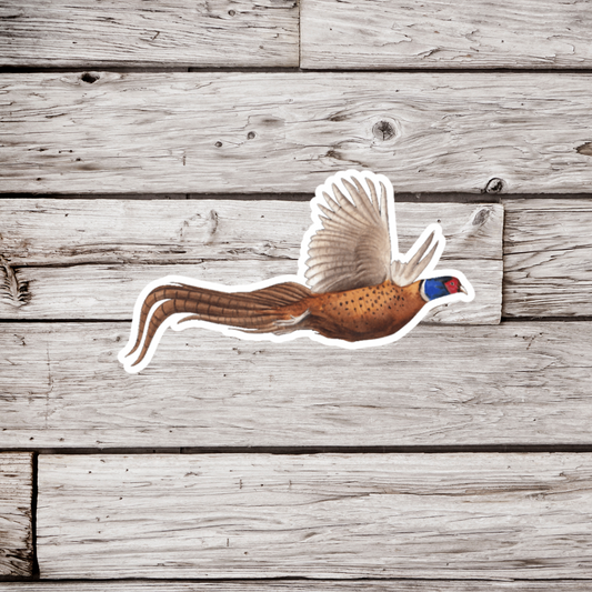 Pheasant Sticker