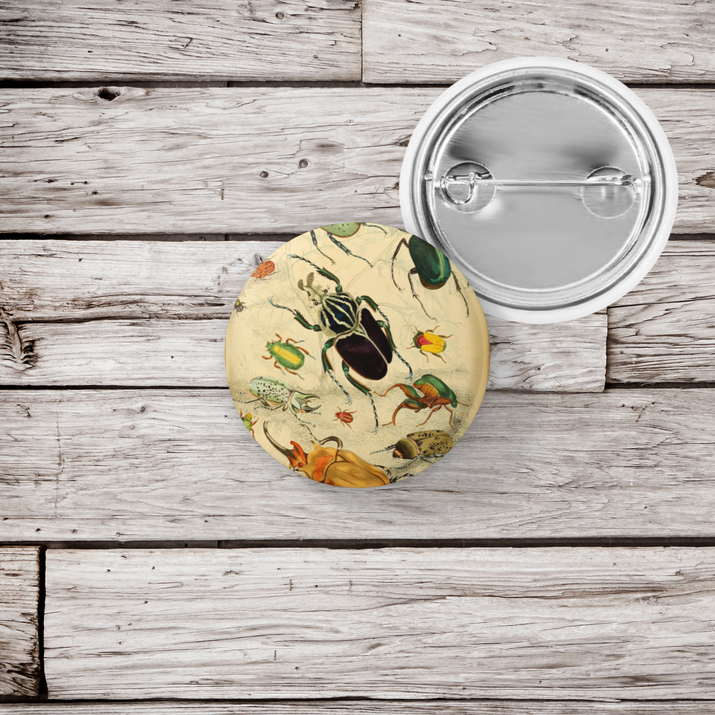 Beetle Pin Back Button, Magnet, Keychain