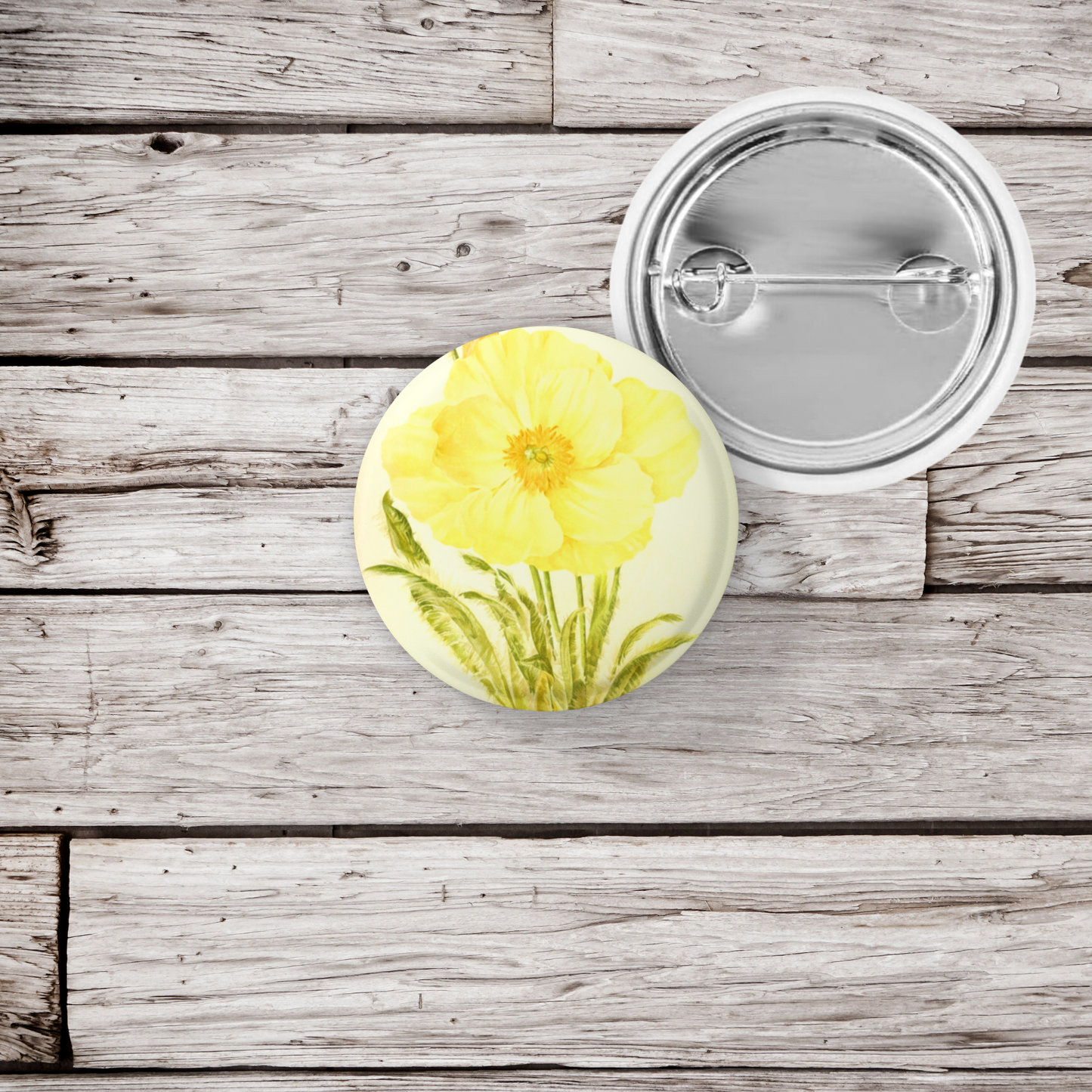 Welsh Poppy Flower Yellow Pin Back Button, Magnet, Keychain